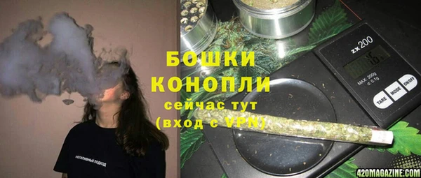 спайс Тавда
