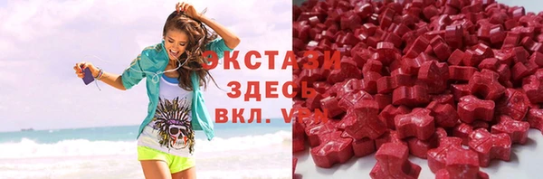 дживик Тайга