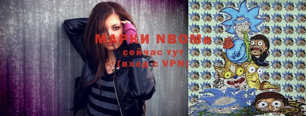 дживик Тайга