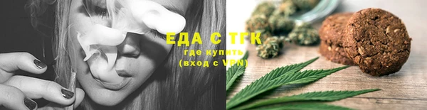 дживик Тайга