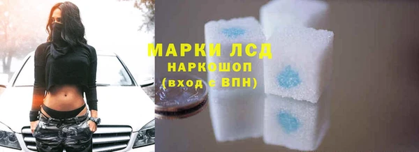 дживик Тайга