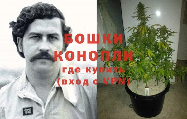 спайс Тавда