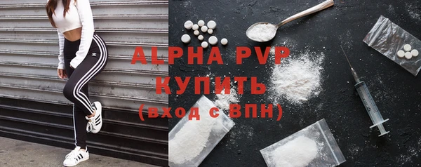 дживик Тайга