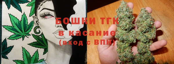 спайс Тавда
