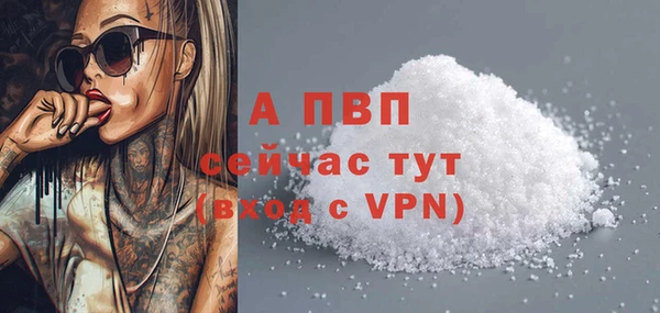 дживик Тайга